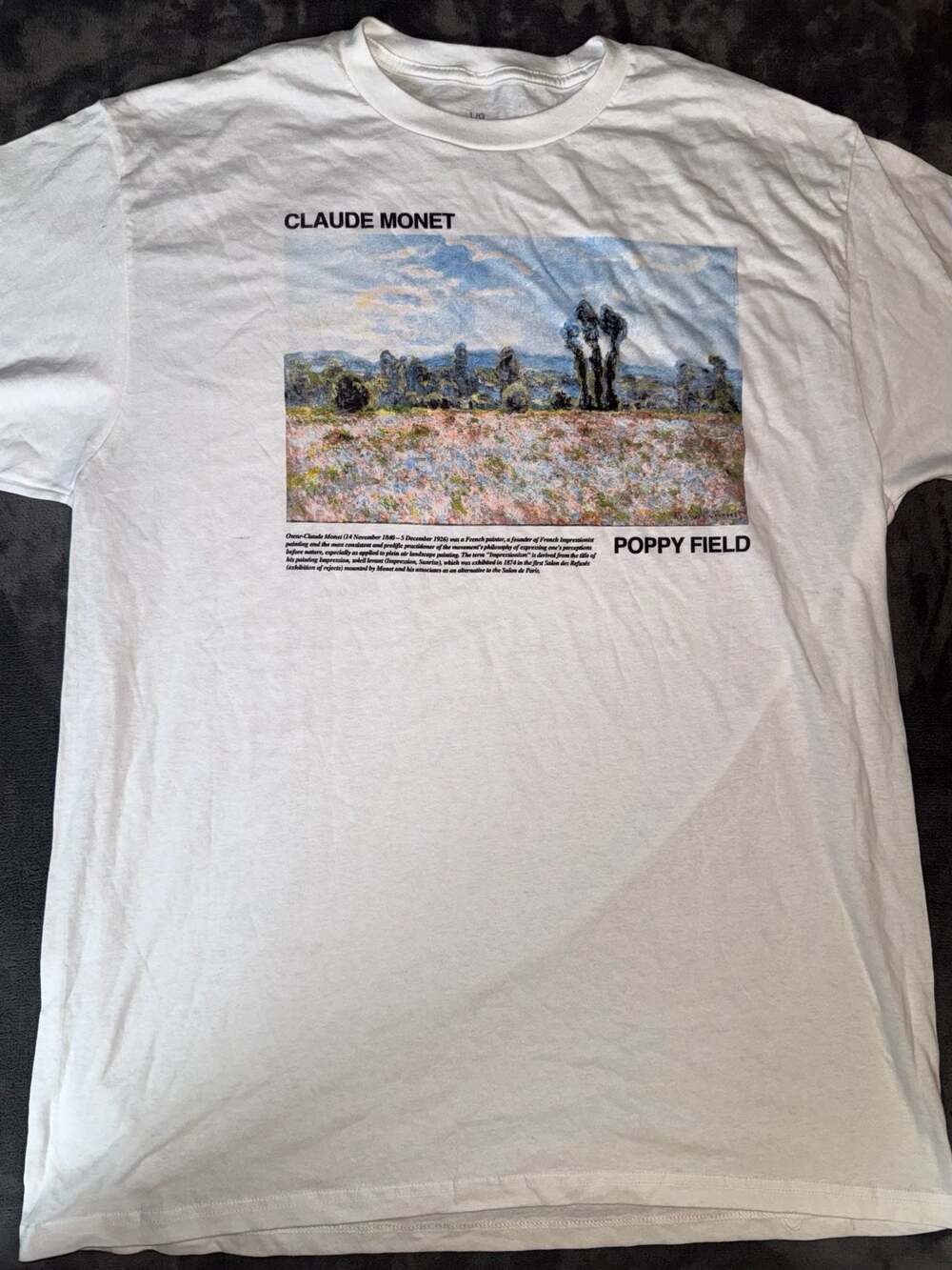 Vintage Claude Monet The Artist's Garden Art T Shirt Sz L Single Stitch Jerzees